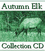 Autumn Elk Photography Collection CD